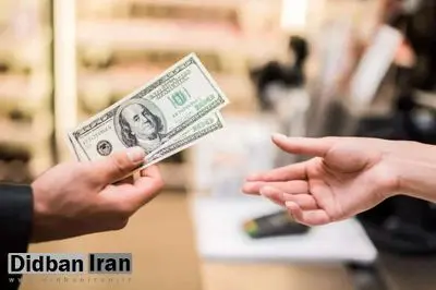 لاهوتی، نماینده مجلس: بر اساس بودجه ۱۴۰۵، ارز ترجیحی در قالب کالابرگ و به صورت مستقیم در اختیار مردم قرار گیرد