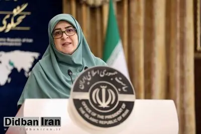 مهاجرانی: تبادل غیرمستقیم پیام با آمریکا ادامه دارد
