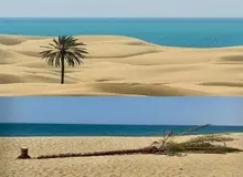 اشاره تلویحی مدیر میراث فرهنگی به دلیل قطع تک درخت درک به دلیل بدحجابی گردشگران/ مصلحی:  یکی از دلایل قطع تک درخت عدم احترام گردشگران به فرهنگ محلی مردم بود/ جامعه ما مذهبی است