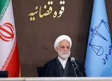 اژه‌ای: هرچه سریع‌تر قاتل دانشجوی دانشگاه تهران دستگیر شود