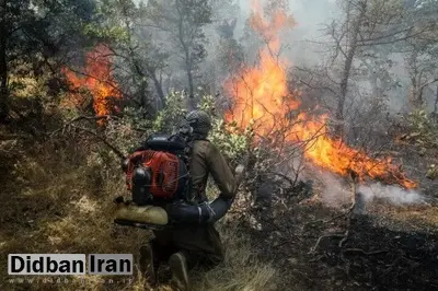 بخشی از جنگل نوشهر آتش گرفت