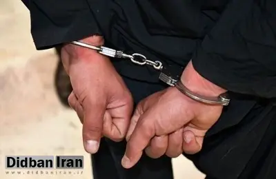 دستگیری ضارب روحانی امامزاده یحیی در تهران