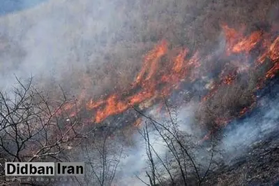 آتش‌سوزی در جنگل‌های الیت مهار شد/ تداوم عملیات اطفای زمینی
