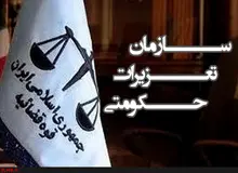 سخنگوی سازمان تعزیرات حکومتی: رسیدگی به پرونده‌های مفاسد اقتصادی سرعت گرفته است