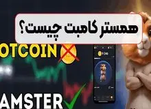 همسترکامبت چیست؟/ چرا پیام‌های joined to telegram زیاد شده است؟