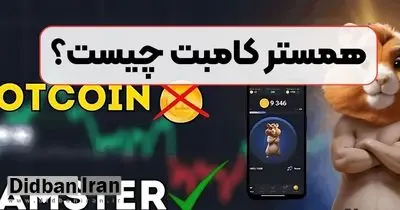 همسترکامبت چیست؟/ چرا پیام‌های joined to telegram زیاد شده است؟