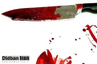مرد از بیمارستان روانی به خانه برگشت و همسرش را کشت
