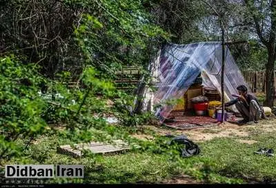 پناه بردن مردم بروایه خوزستان به صحراهای اطراف+ تصاویر