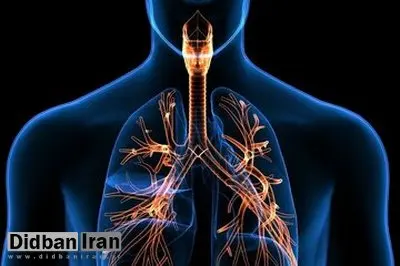 ۵ تمرین برای تقویت ریه
