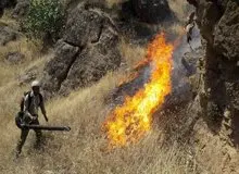 مدیرکل محیط زیست کرمانشاه از شعله ور شدن دوباره آتش خبر داد:؛ارتفاع آتش در برخی نقاط "بوزین و مره‌خیل" به بیش از یک متر می‌رسد