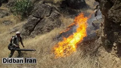 مدیرکل محیط زیست کرمانشاه از شعله ور شدن دوباره آتش خبر داد:؛ارتفاع آتش در برخی نقاط "بوزین و مره‌خیل" به بیش از یک متر می‌رسد