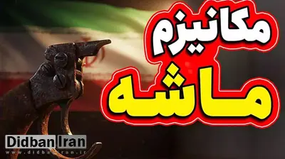 کیهان: اگر مجلس، خروج ایران از NPT را تصویب کند، جلوی اجرای مکانیسم ماشه را می گیرد