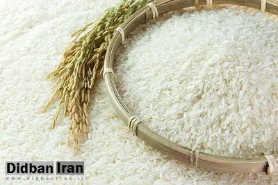 رئیس اتحادیه بنکداران مواد غذایی: قیمت برنج ایرانی نصف شد/شکر کمیاب شد