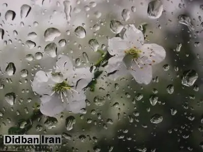 ۱۱ استان در انتظار باران و رگبار