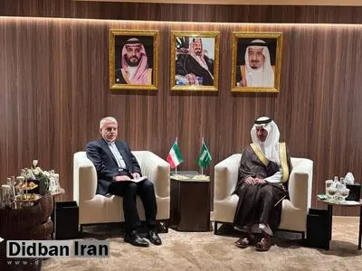 صالحی امیری: همکاری‌های فرهنگی ایران و عربستان می‌تواند الگوی وحدت‌اسلامی باشد