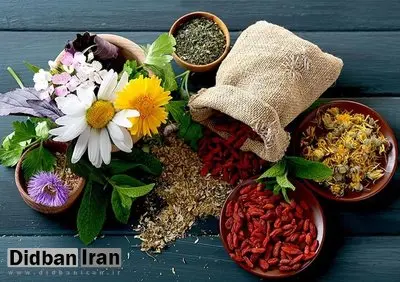 خواص جادویی این گیاهان برای درمان سرماخوردگی و بیماری‌های ویروسی