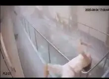 فیلم وحشتناک از پرتاب شدن  همسر سفیر هلند شد در جریان انفجار  بیروت