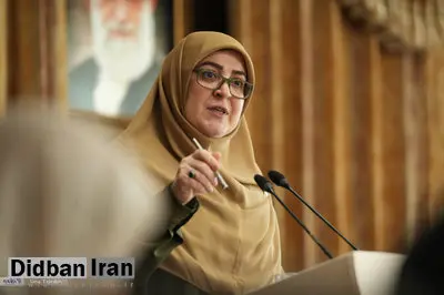 بنزین از چه تاریخی سه نرخی می شود؟/ سخنگوی دولت توضیح داد