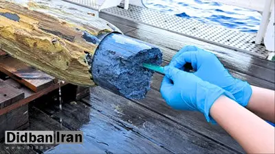 «کشف حیات میکروبی در قلیایی‌ترین آتشفشان گِلی زمین؛ سرنخ‌های تازه از منشأ زندگی