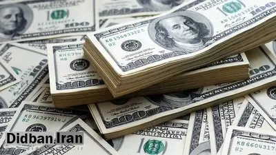 گزارش کمیسیون اقتصادی مجلس:۱۰ میلیارد دلار ارز به صورت اسکناس و حواله از کشور خارج شده است