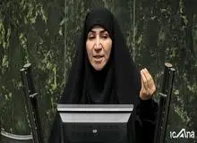 نماینده مجلس:مردم از گرانی افسارگسیخته به ستوه آمده‌اند/ قرعه‌کشی خودرو توهین مسلم به شعور مردم ایران است
