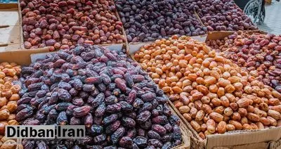خودروسازان داخلی ۲۰۰ میلیون دلار خرما خریدند