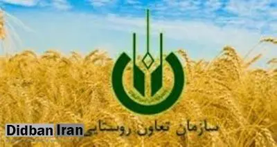 راهبرد اصلی تعاون روستایی توزیع کالاهای اساسی در مناطق محروم است