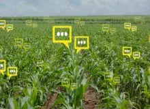 استفاده از ابزار کشاورزی هوشمند