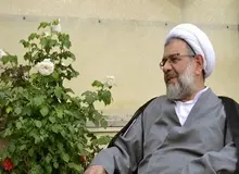  فراکسیون امید  نیمی از تلاشی که برای کدخدایی کرد تا عضو شورای نگهبان شود برای بیطرف انجام نداد 