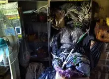 آتش سوزی در شیرخوارگاه آمنه+فیلم 