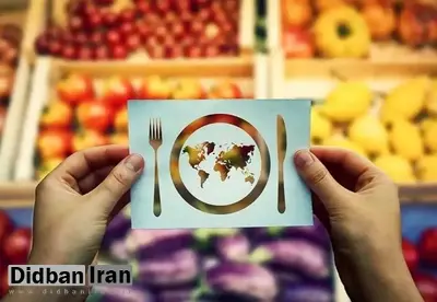 عمادی: کاهش قدرت خرید، عامل مهم تهدید امنیت غذایی در ایران است