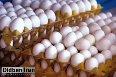 کارتن و شانه تخممرغ نایاب شد/ مرغداران از عدم نظارت وزارت صنعت، معدن و تجارت بر بازار شکایت دارند