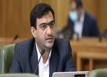 عضو شورای شهر تهران: جریمه قطع درخت نباید مشابه دیه انسان باشد/ ریسه های اطراف درخت ها LED هستند و به درخت آسیب نمی زنند

