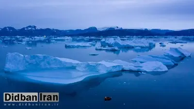 «انگشتان مرگ» چگونه موجودات کف دریا در زیر یخ‌های قطب را می‌بلعند؟