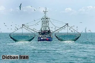 ۳ شناور صید ترال معروف به «جاروکش» خلیج فارس توسط سپاه توقیف شدند