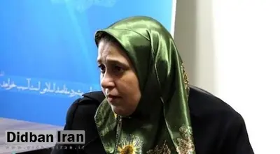سلحشوری: مگر مردان برای خروج از کشور اجازه میگیرند که زنان بگیرند؟
