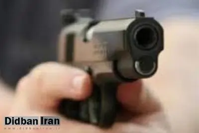 جزئیات تیراندازی مقابل تئاترشهر/ دستگیری عامل تیراندازی