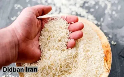 ۲ مدل برنج هندی با قیمت‌های ۴۹.۸۰۰ و ۵۹.۸۰۰ در بنکداری‌ها عرضه می‌شود/ برنج پاکستانی هم قرار است با قیمت ۶۶.۳۰۰ به دست مصرف‌کننده نهایی برسد