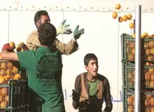 تجربه روزمره کارگران میادین میوه و تره‌بار در شهر تهران/ دستمزد پایین، نا امنی و بهره کشی 