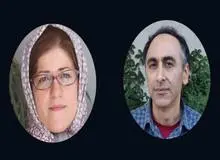 دو استاد دیگر دانشگاه هنر قربانیان جدید خالص سازی/ مخالفت دانشگاه  با قرارداد دائم مسعود علیا و حسینی شکیب 