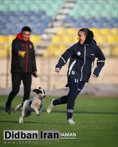 یک سگ بازی پرسپولیس – گل‌گهر را بهم ریخت+عکس 