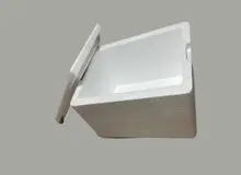 جایگاه ویژه یخدان یونولیتی برای حمل و نقل واکسن گارداسیل