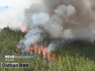 آتش‌سوزی گسترده در جنگل‌های شمال کشور/ اعزام سه هلیکوپتر اطفای حریق برای نخستین‌بار