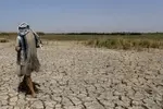 علت خشکی هورالعظیم کمبود حق‌آبه و خشکسالی‌ است نه عملیات نفتی!
