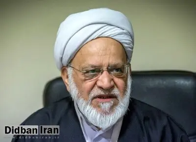 مصباحی مقدم: خبرهایی از اعتراضات شنیده می‌شود اما مردم باید دَرد این «جراحی» را تحمل کنند/  برای زنده ماندن راهی غیر از جراحی نداشتیم