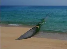 فاز نخست پروژه انتقال آب دریای عمان به اصفهان رسید