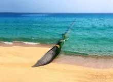 کسی زیر بار موافقت با انتقال آب دریای خزر نمی‌رود؟
