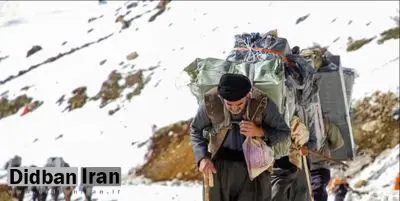 در ۱۰ روز گذشته، ۹ کولبر در آذربایجان غربی، کردستان و کرمانشاه  کشته، مجروح و مفقود شدند