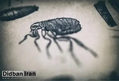 سلاح مخوف ژاپنی که ۵۰۰هزار نفر را قتل‌عام کرد!+عکس