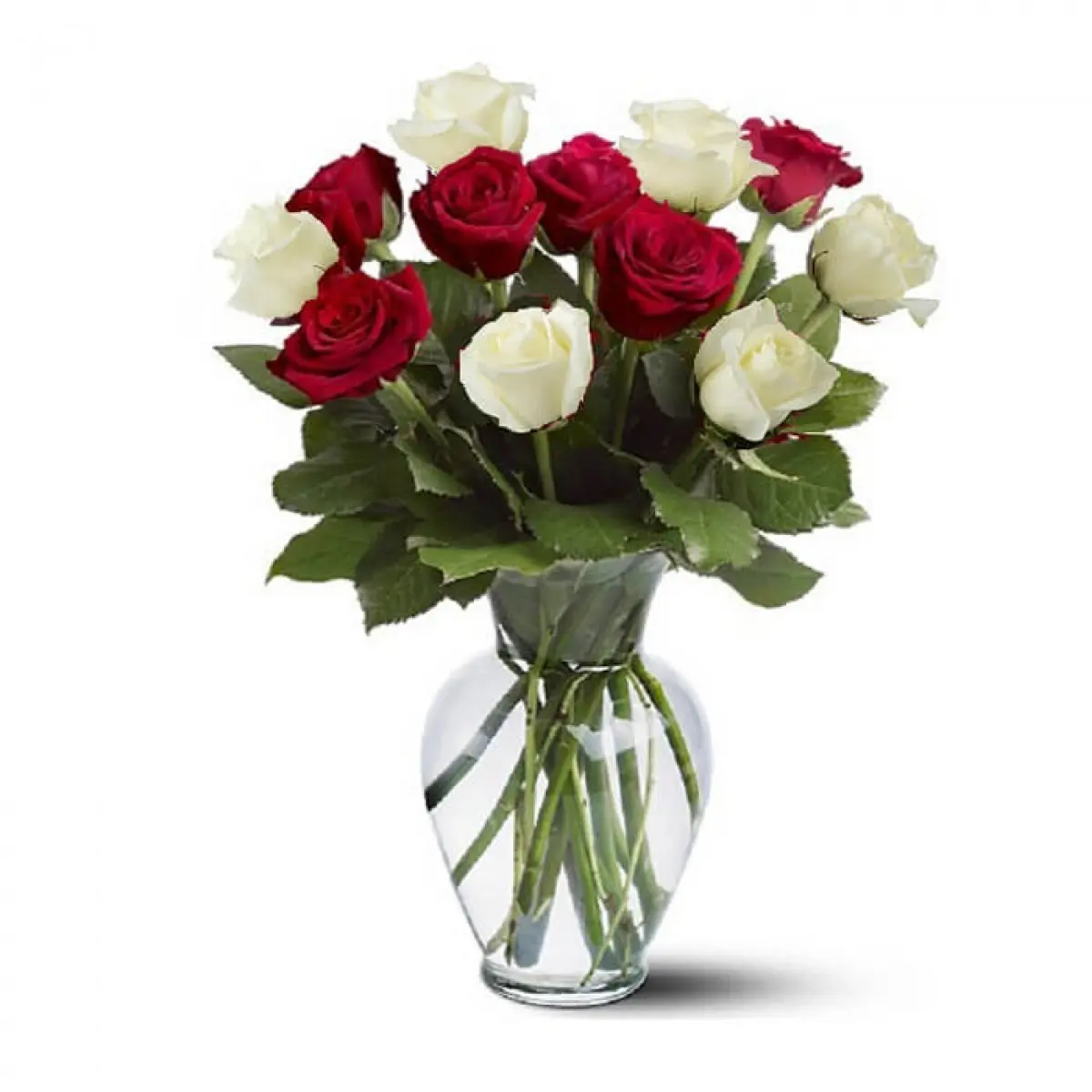 گل رز به شاخه‌ای ۱۱ هزار تومان رسید